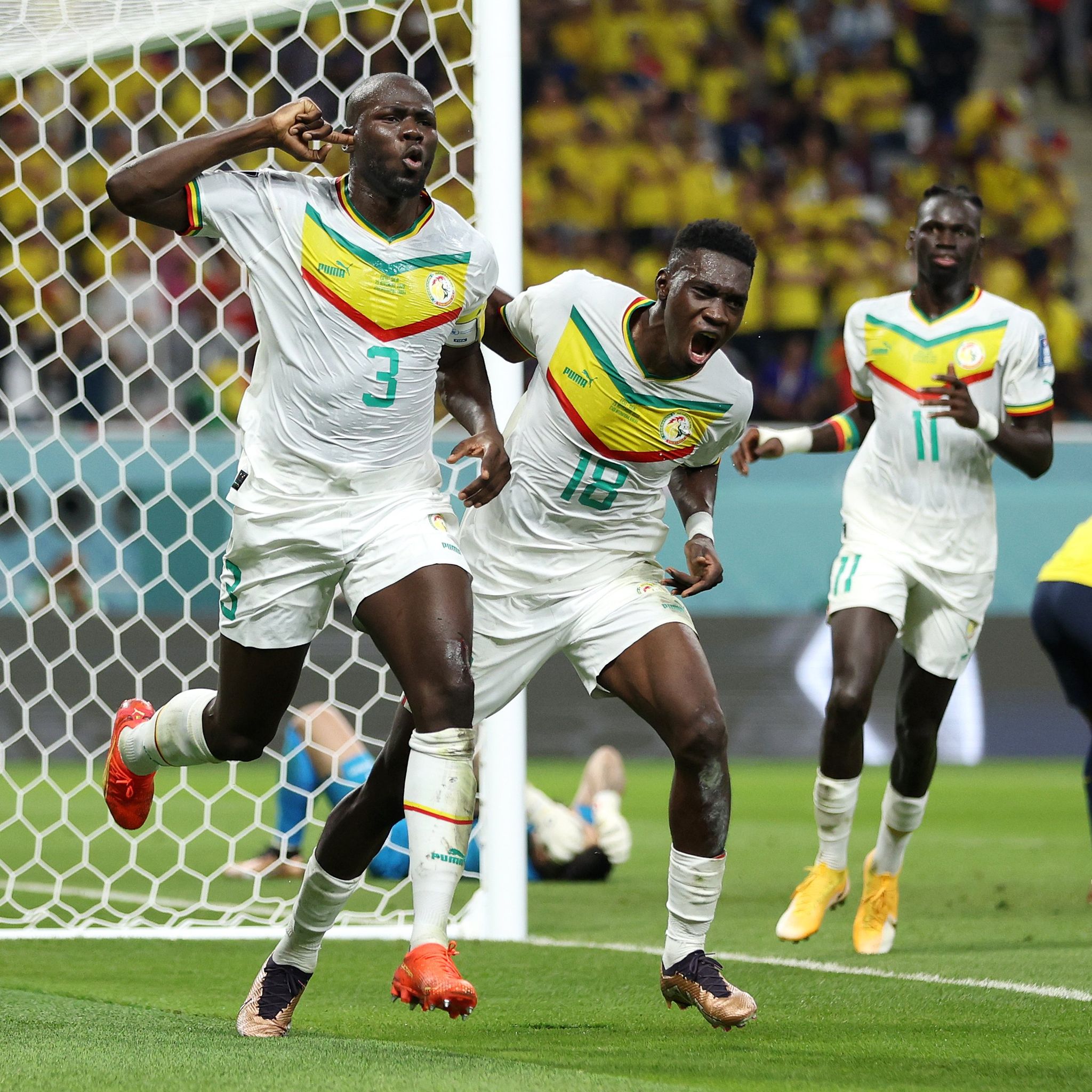 सेनेगल विश्वकपको नकआउट चरणमा, इक्वेडर बाहिरियो