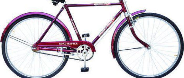 Birendranagar to be made bicycle city