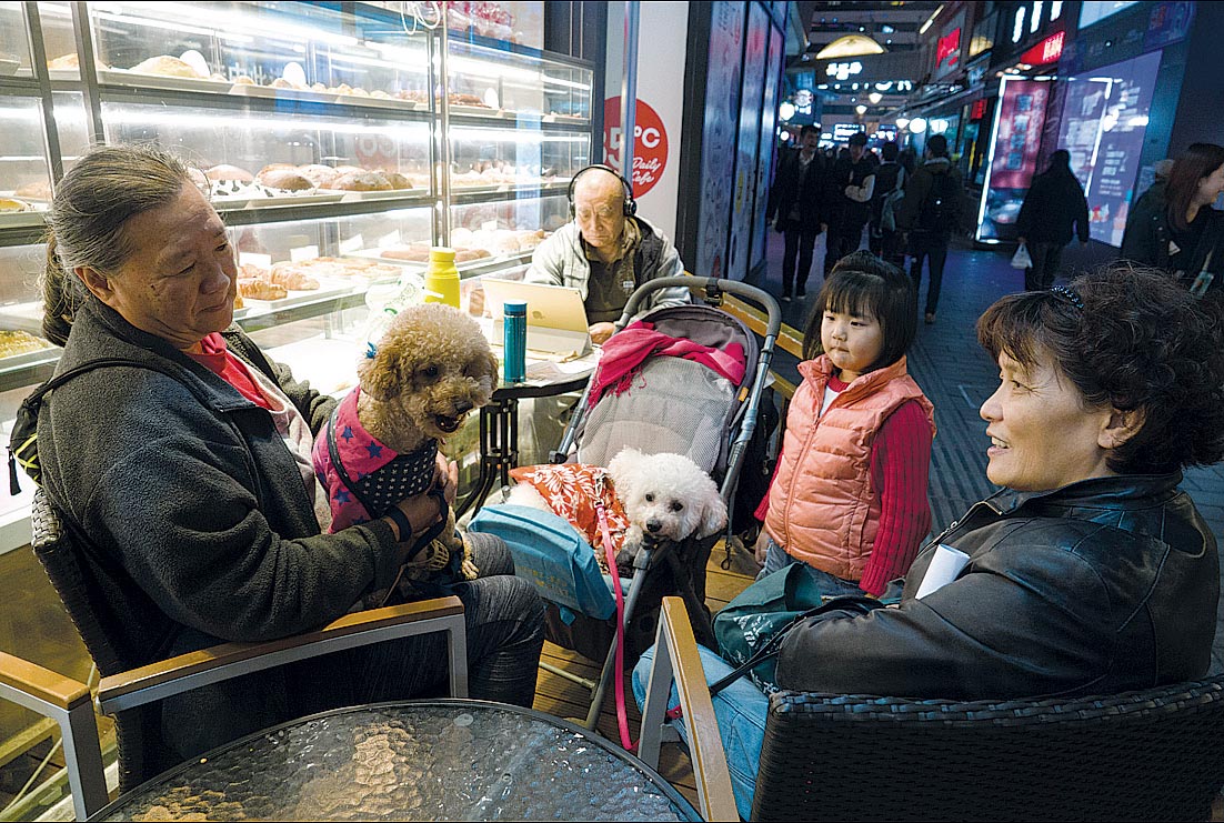 More elderly Chinese feel happy: survey