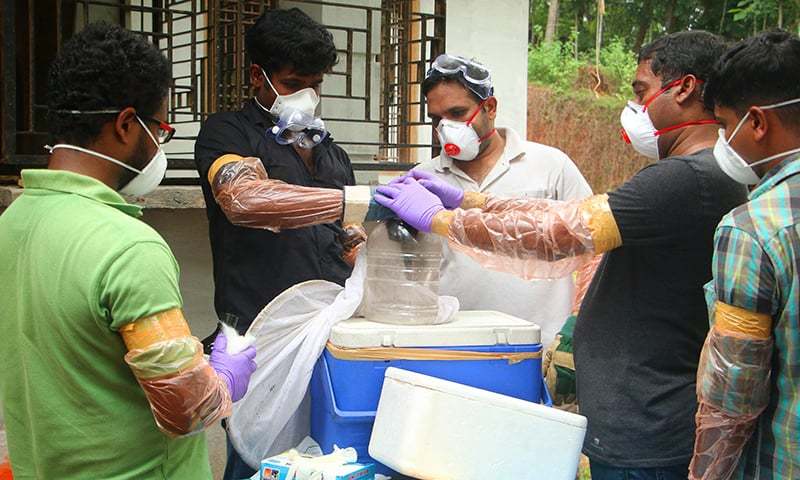 Death toll from India's Nipah virus outbreak rises to 12