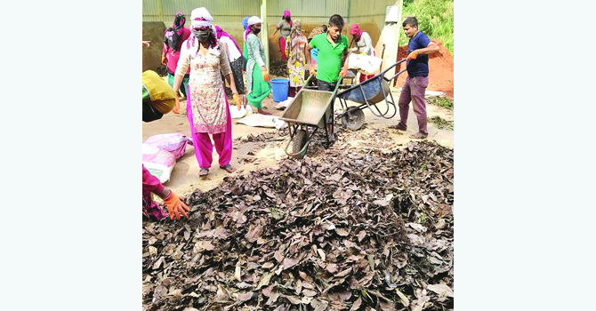 फोहोरबाट मोहोर बटुल्दै मध्यपुर थिमी