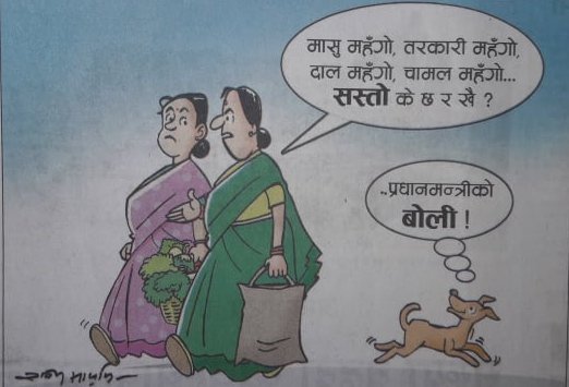आजका कार्टुन