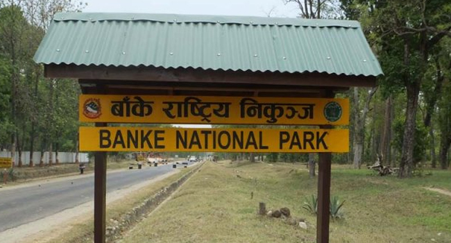 Speeding vehicles kill 358 wild animals in Banke National Park