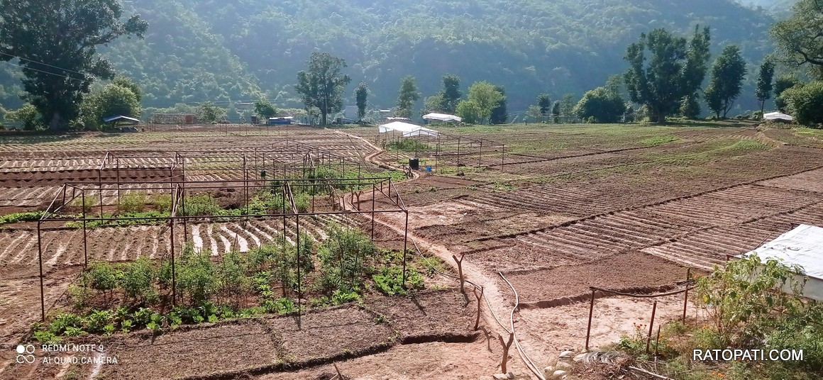 सानो लगानीले फेरिएको सुदूर पहाडी गाउँ