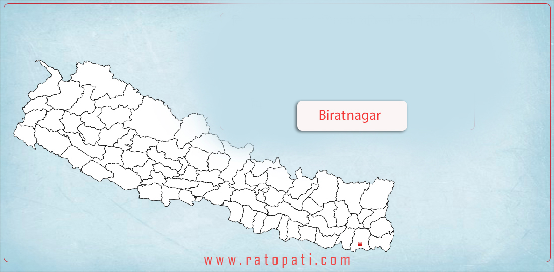 NC decides to contest independently in Biratnagar in upcoming local polls