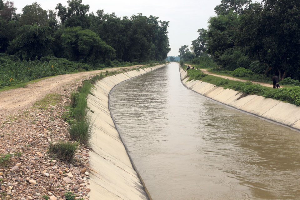 Canal of Jhyapre rivulet irrigation project constructed