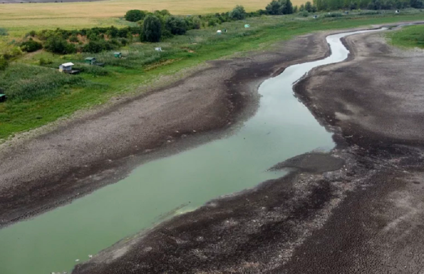 यूरोपमा खडेरी, नदीहरू सुक्दा माछासहित कृषि उत्पादन प्रभावित