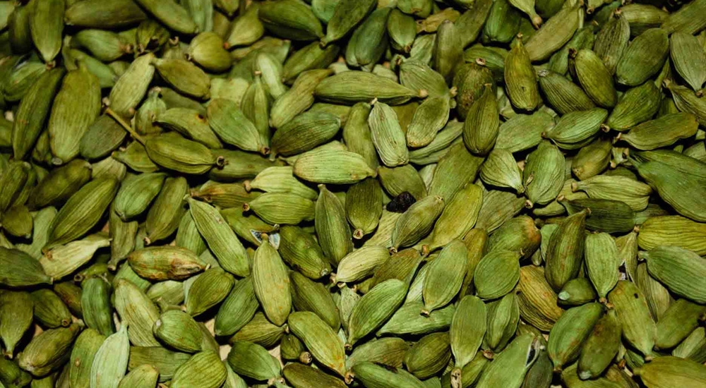 Federal government to take initiative for setup of cardamom processing centre