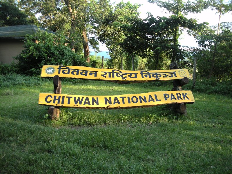 Chitwan National Park rearing tortoise and turtle in breeding centre