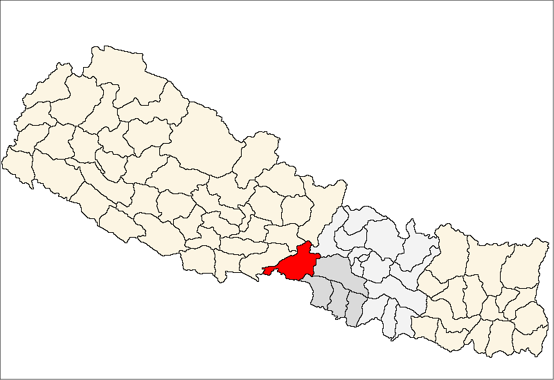 930 local level candidates fail to submit election expenses in Chitwan