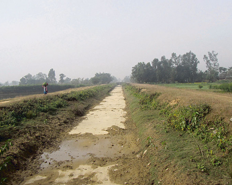Construction of canal for Babai irrigation project intensifies