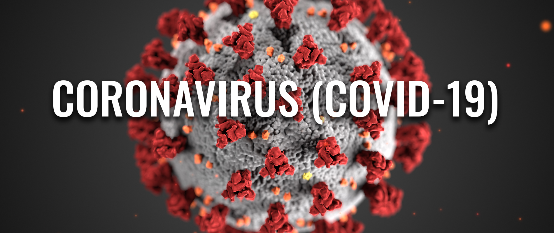 Coronavirus Infected security person and nurse from Bhaktapur in isolation