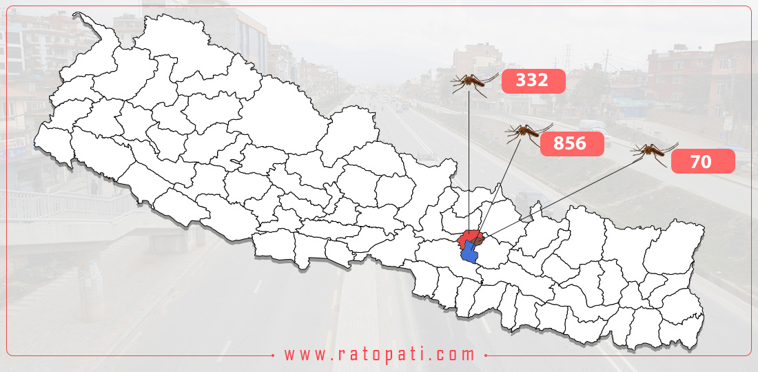 More than 1,250 Dengue cases reported in Kathmandu Valley only