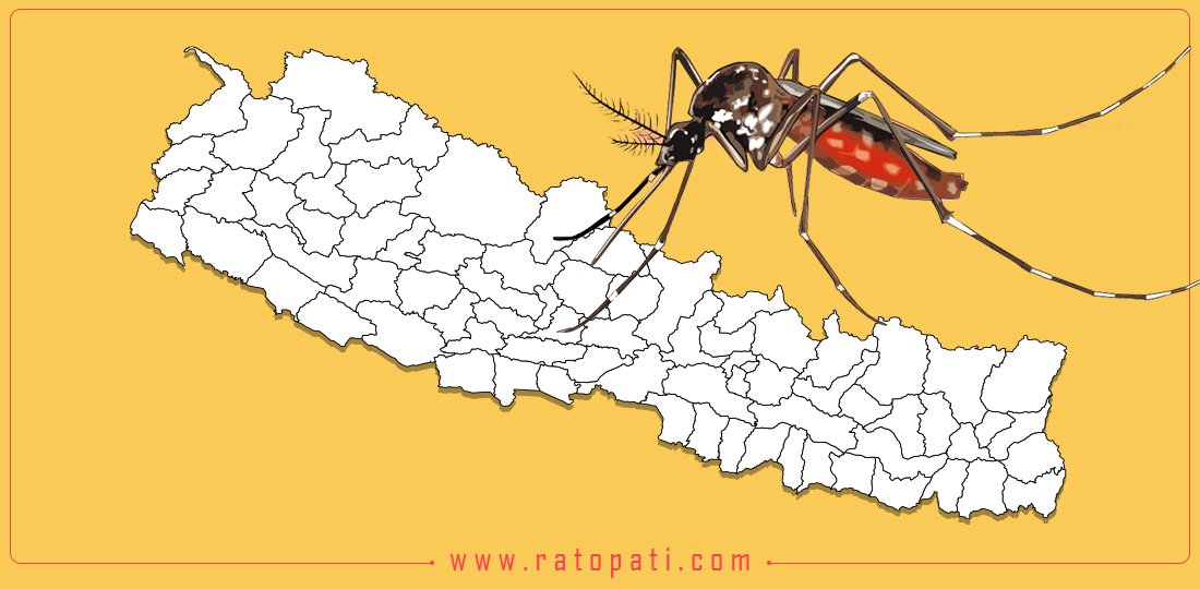 Risk of dengue cases high in Sudurpaschim Province