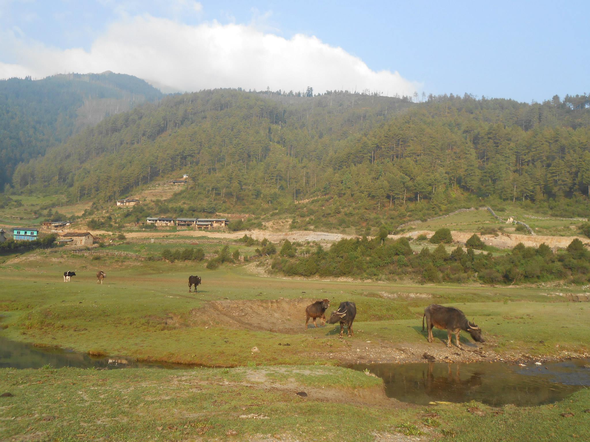 Dhorpatan hunting reserve’s 182 hectares land encroached