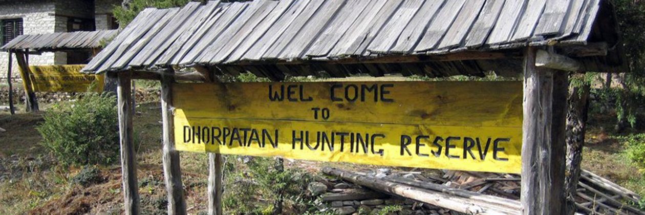 First hunting season begins at Dhorpatan Hunting Reserve