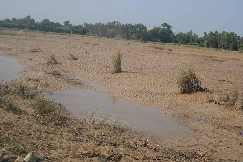 कैलाली बाढी : ‘किन खेती लगाइएछ जस्तै लागेको छ’