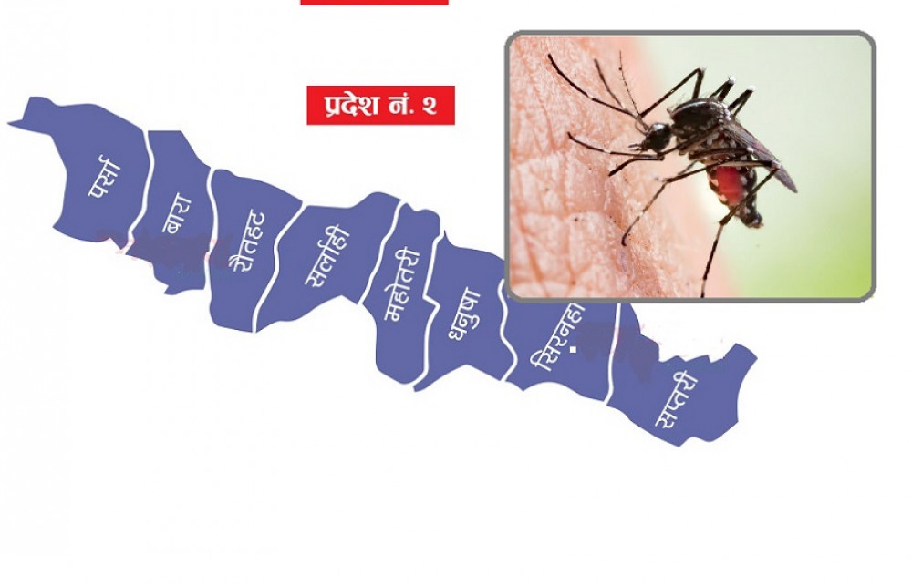 One dies of dengue, 73 infected in State 2