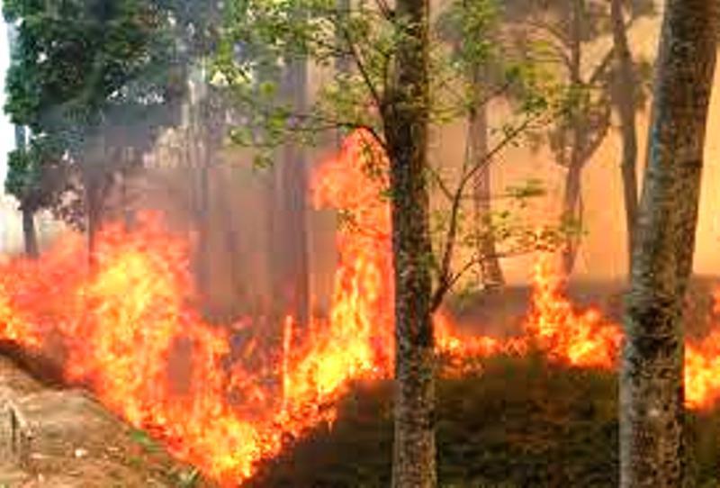 Forest fire in Chure region continues