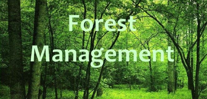 Three panels at work to fathom irregularities in 'scientific forest management'