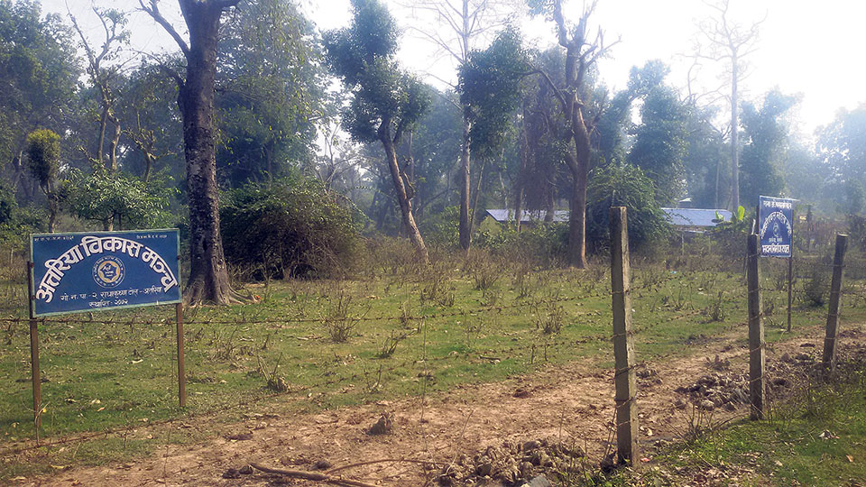 Trend of constructing physical structures encroaching on forest rife in Godavari