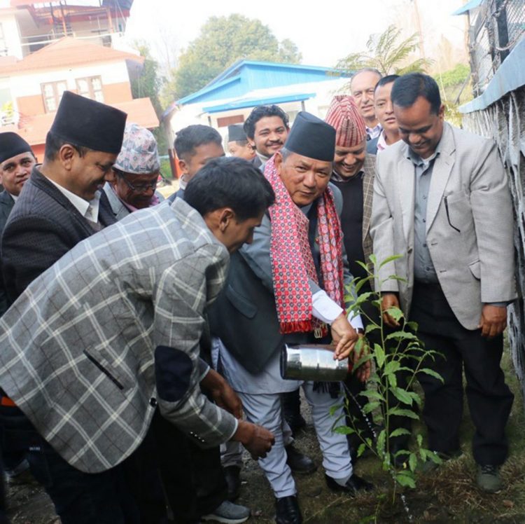 Gandaki state CM Gurung observes his birthday by planting tree sapling