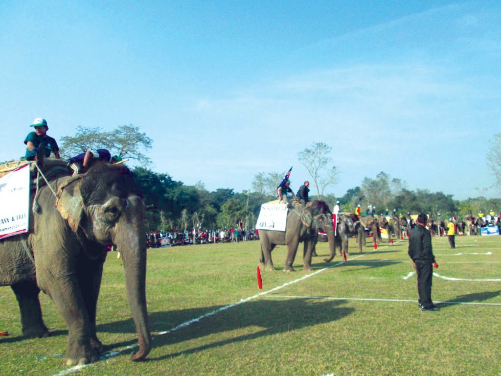 XV Elephant Festival to be held in Sauraha