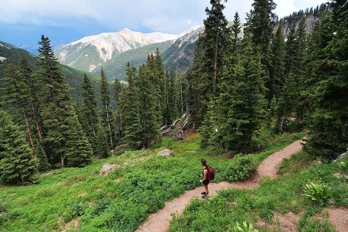 Foreign ambassadors and diplomats taking part in ‘hiking’