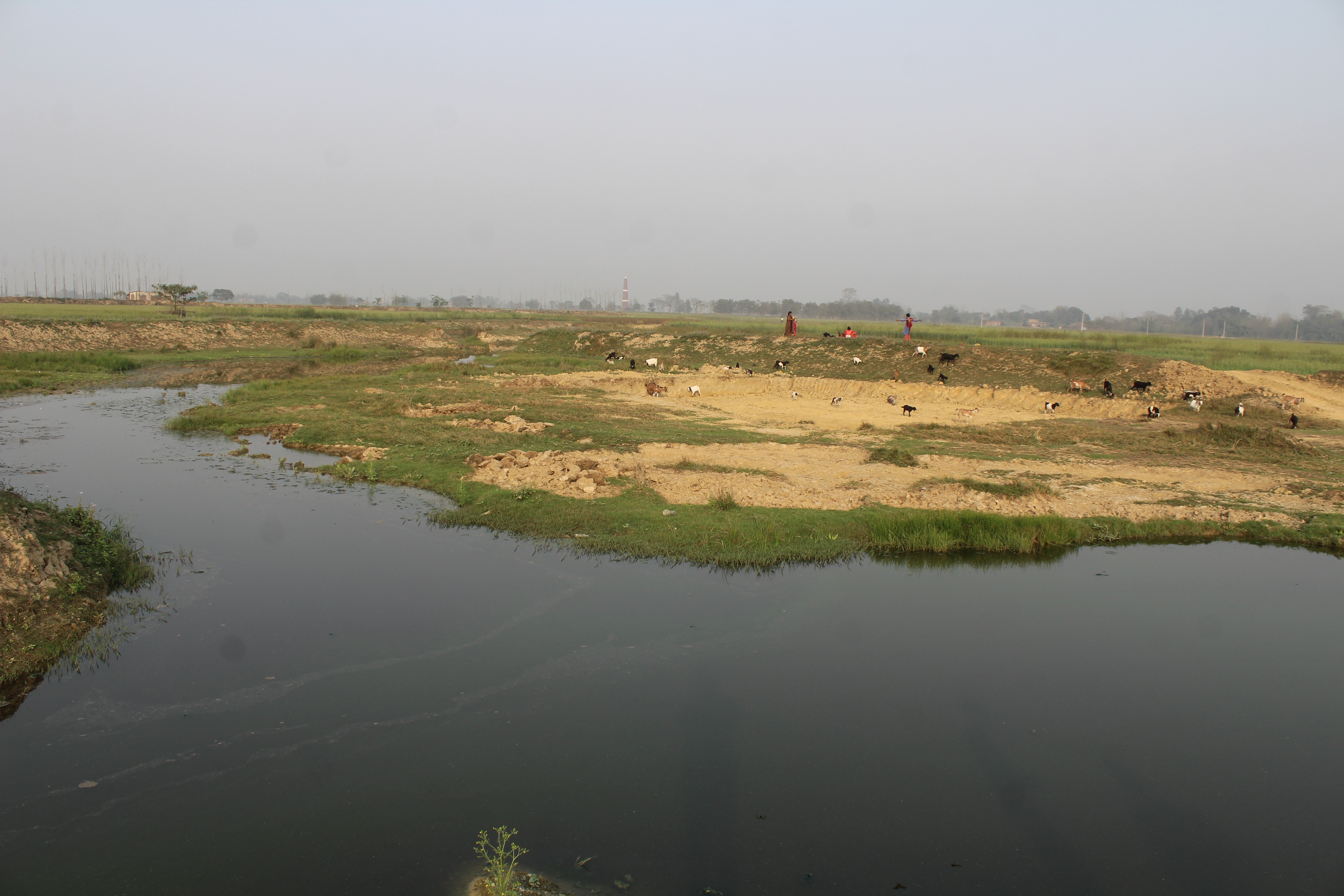 ऐतिहासिक नन्दन ताल अतिक्रमणको चपेटामा