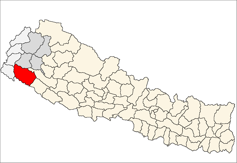 Naradmuni wins election from Kailali-5