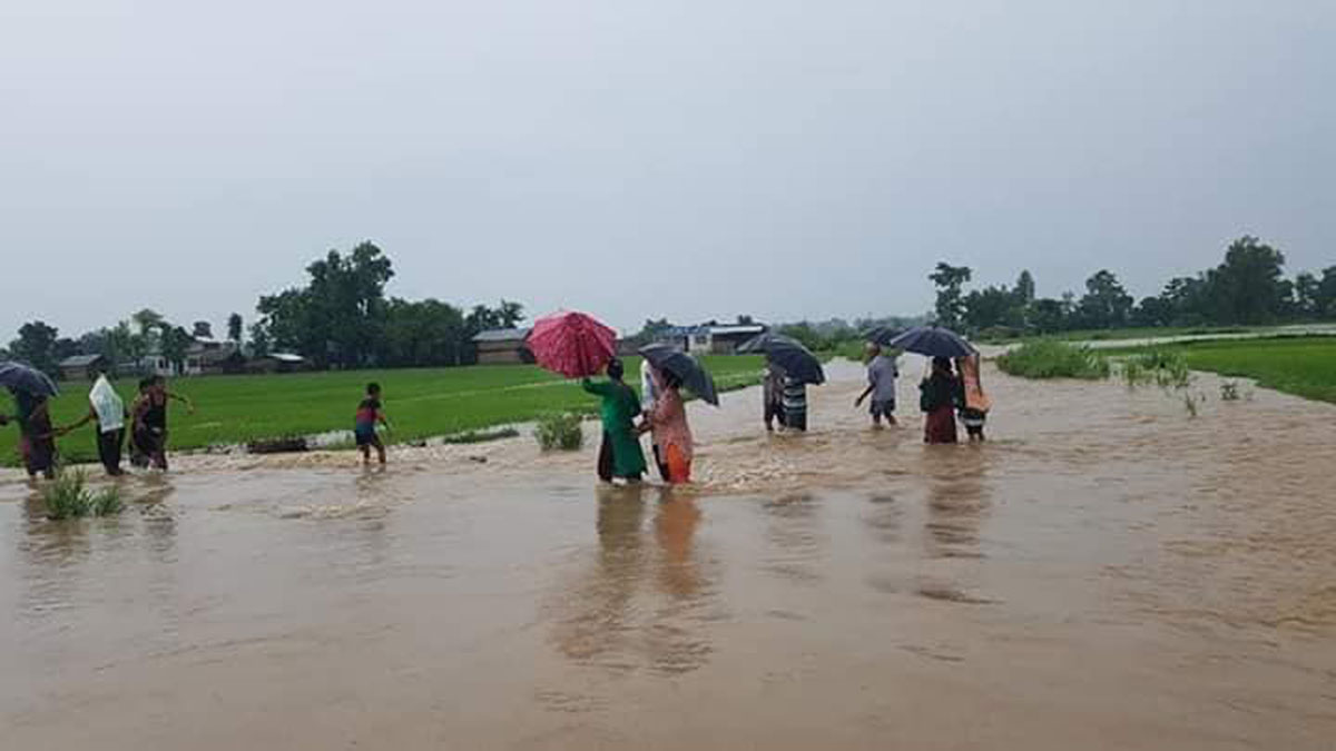 Flood displaces thousands of people in Kailali