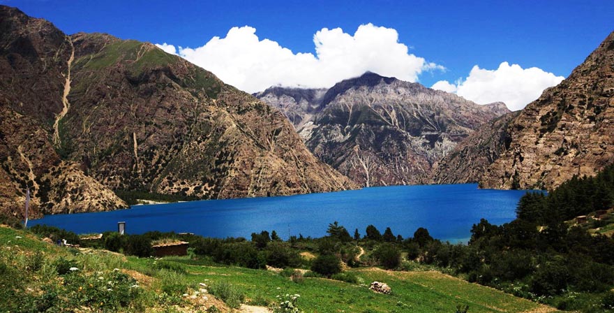 No of wildlife increasing in Shey Phoksundo