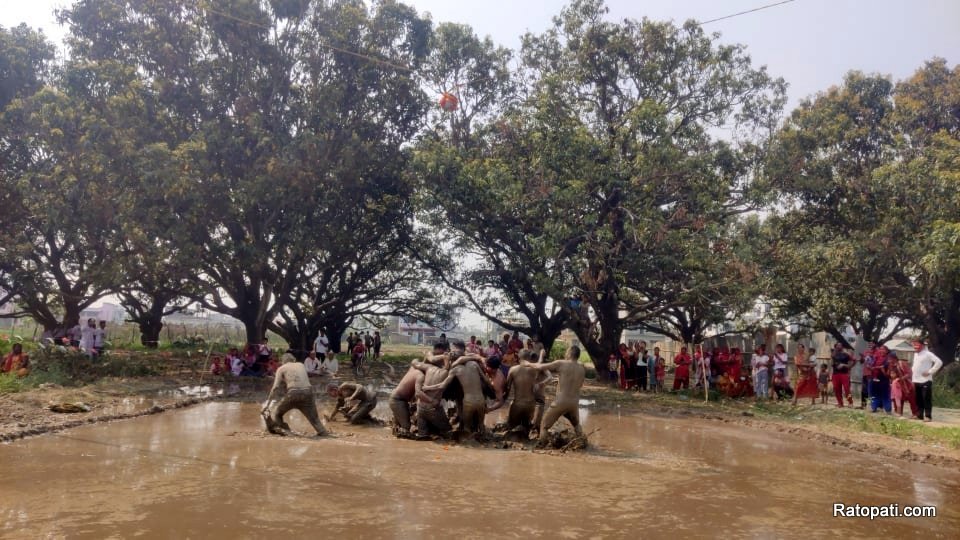 होली : हिलोमाथि मट्का फुटाए युवाले (तस्बिर)