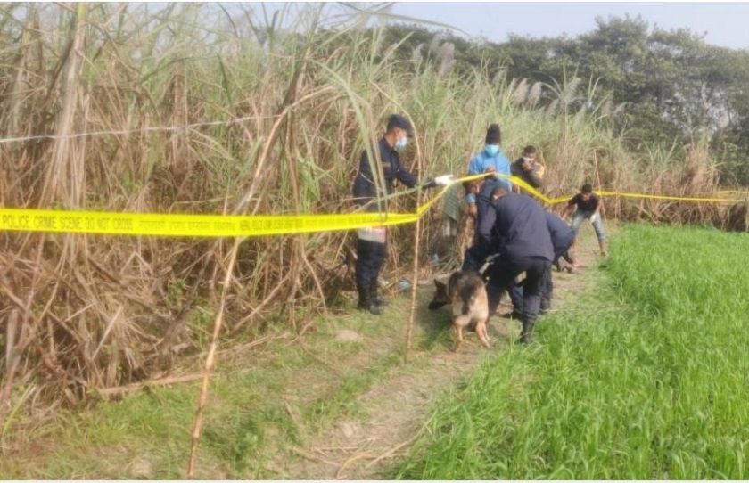 Victims might have been killed somewhere else and dumped here in sugarcane farm: Police