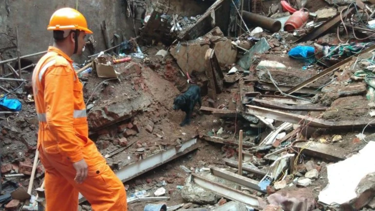 Death toll rises to 14 in Mumbai building collapse