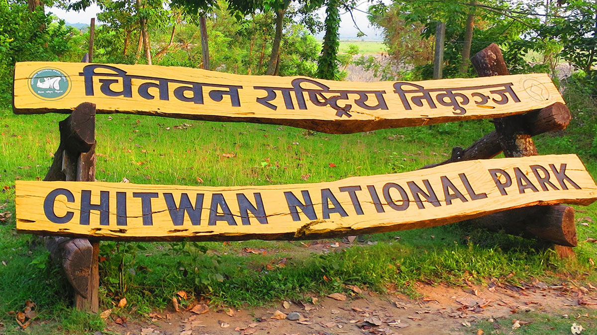 Lockdown comes as boon to wildlife in Chitwan National Park