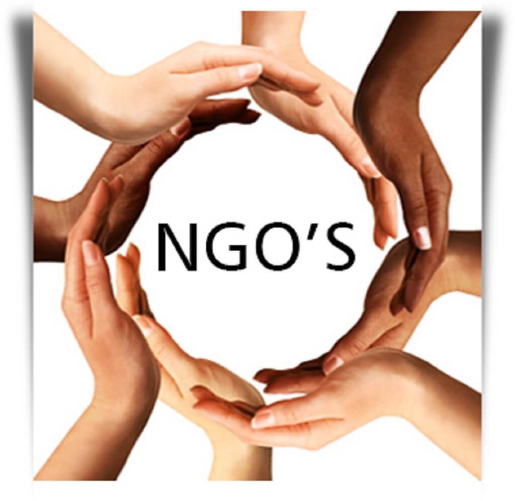 Government's regulatory not controlling role over NGOs sought