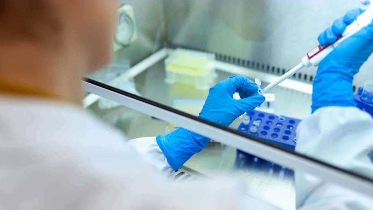 Lawmakers demand expansion of PCR tests