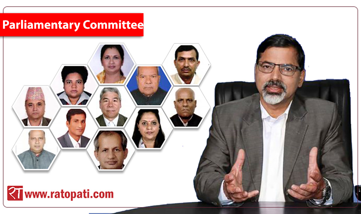 These are the members of parliamentary committee formed to probe involvement of unofficial personnel in budget formulation process