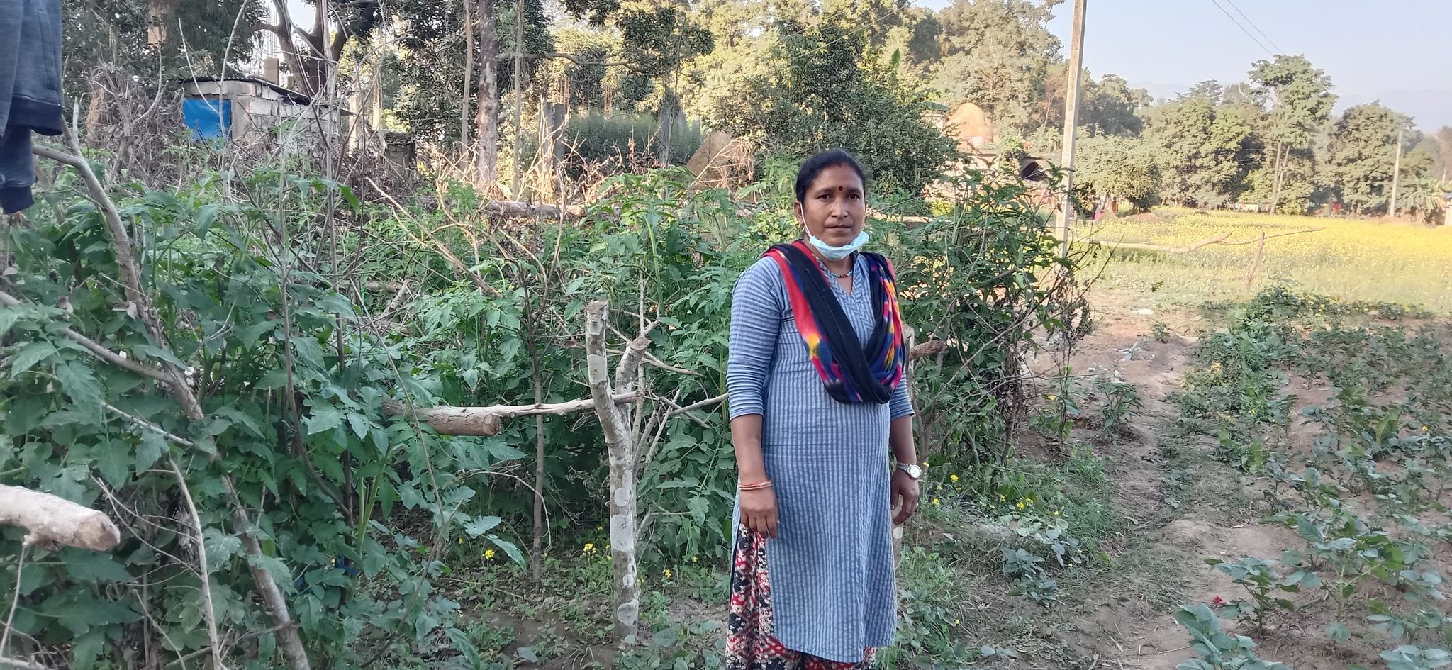 कोरोना कहरले जुराएको अवसर : भारतबाट फर्केर स्वदेशमा व्यवसायिक तरकारी खेती