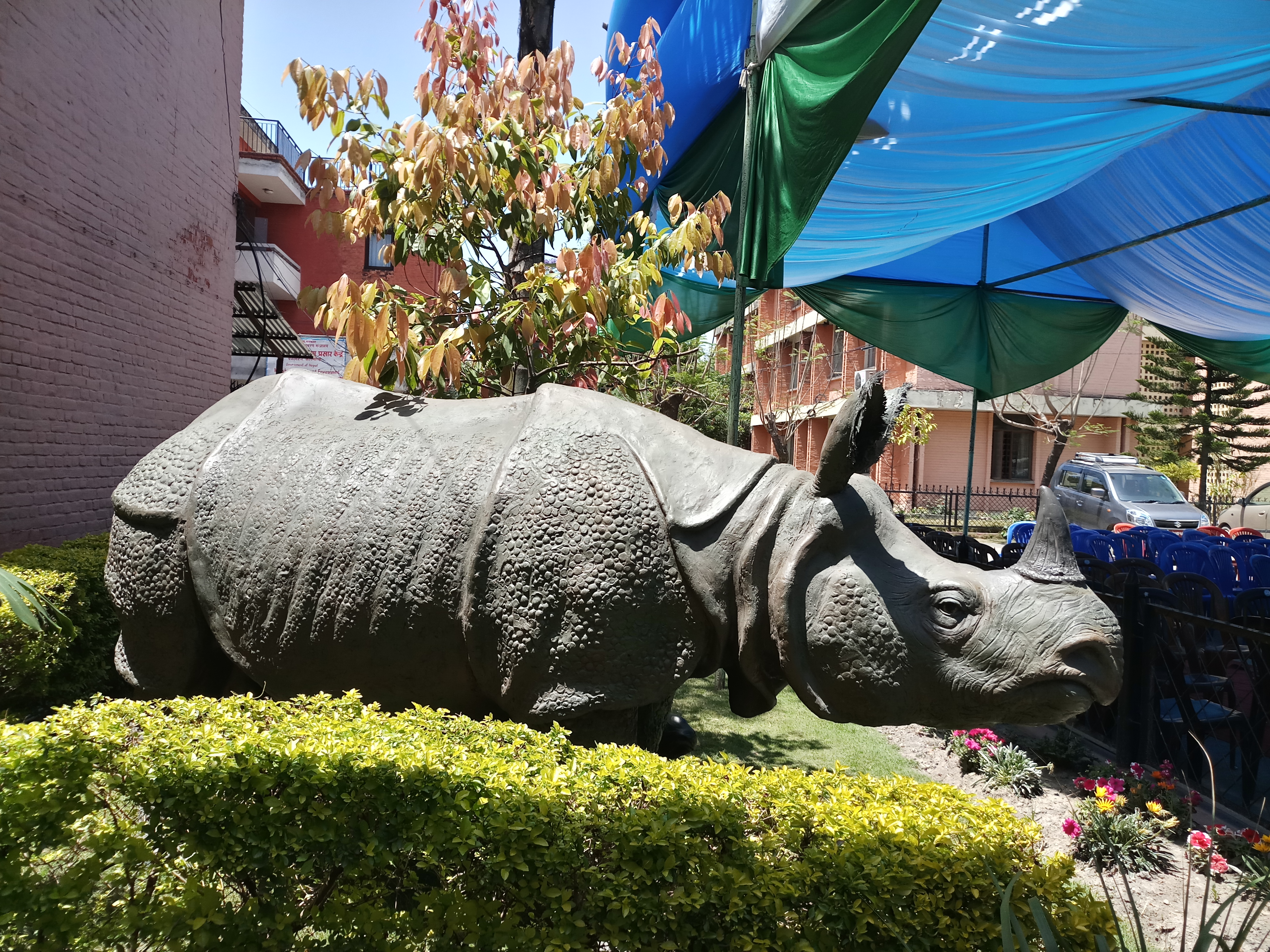 COVID-19: Rhino census not taking place this year
