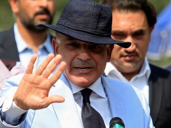 Shehbaz Sharif likely to be acting PML-N chief