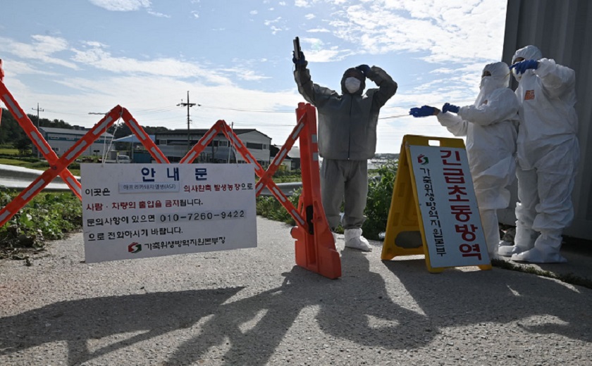 दक्षिण कोरियामा पहिलोपटक ‘स्वाइन फ्लू’ देखियो