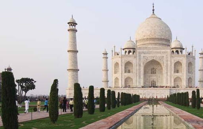 India's iconic Taj Mahal infected by insects