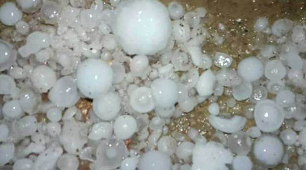 Hailstone damages crops and vegetables worth of million rupees in Beni