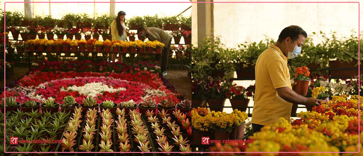 IN PICS: 23rd Flora Expo