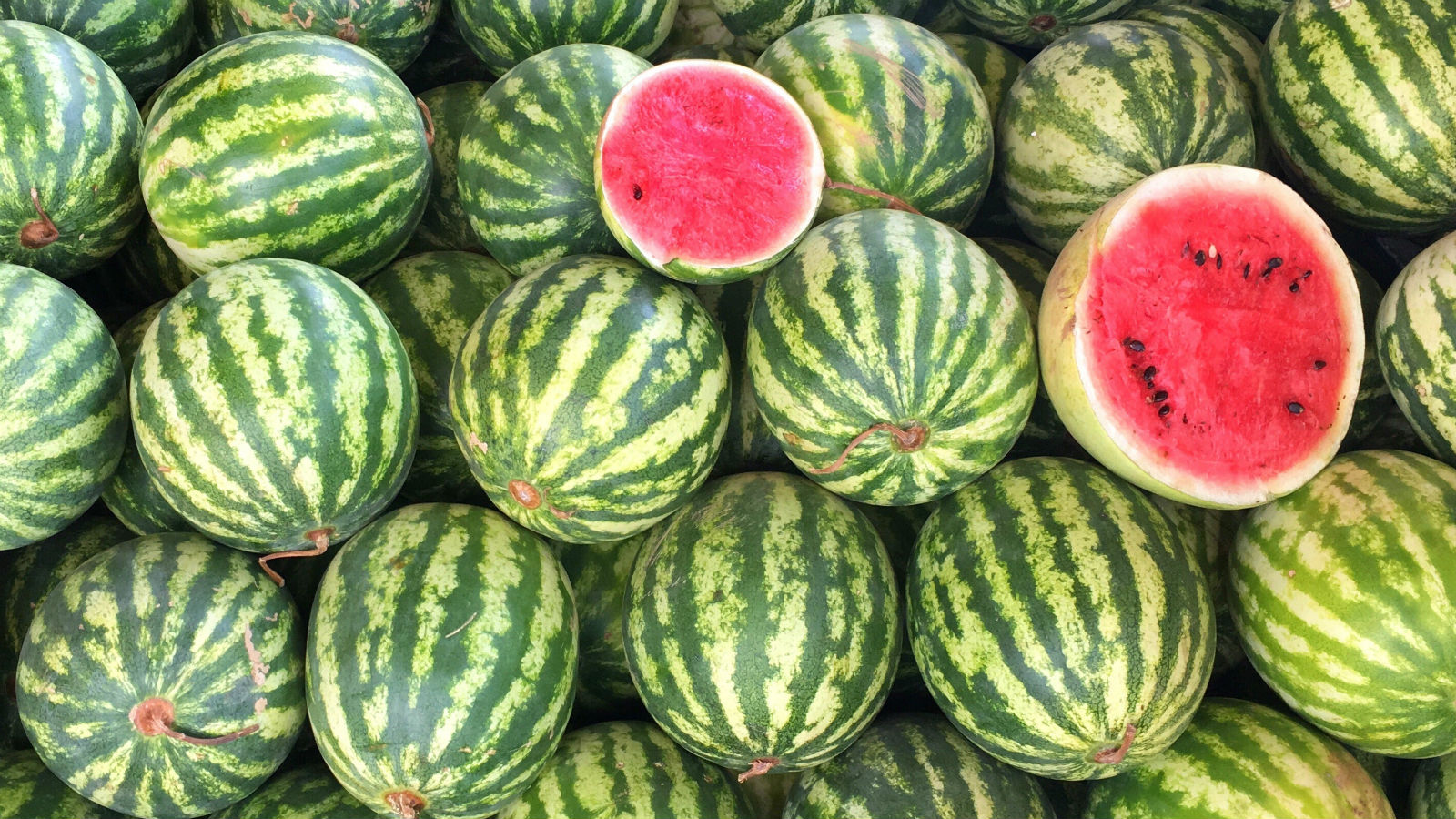 Farmers earn 5 million rupees from watermelon sales