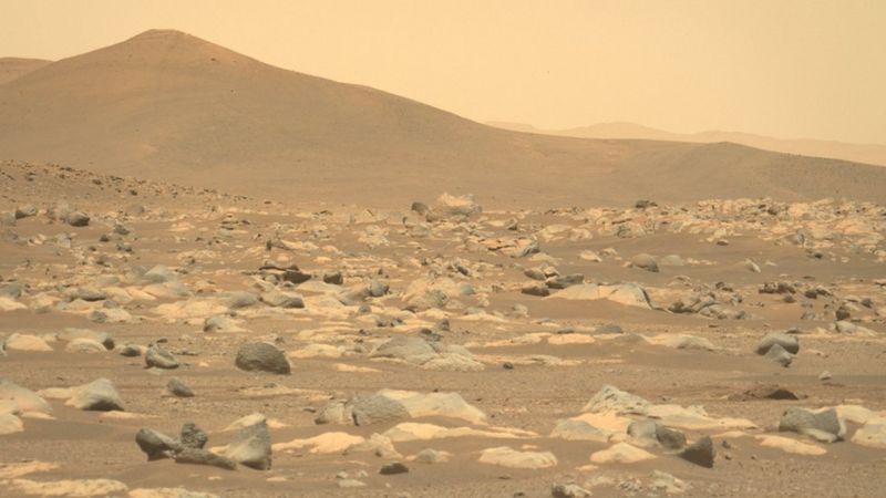 यस्तो छ मंगल ग्रह : मार्स रोवर पर्सिवियरेन्सको सय दिनका १३ तस्बिर