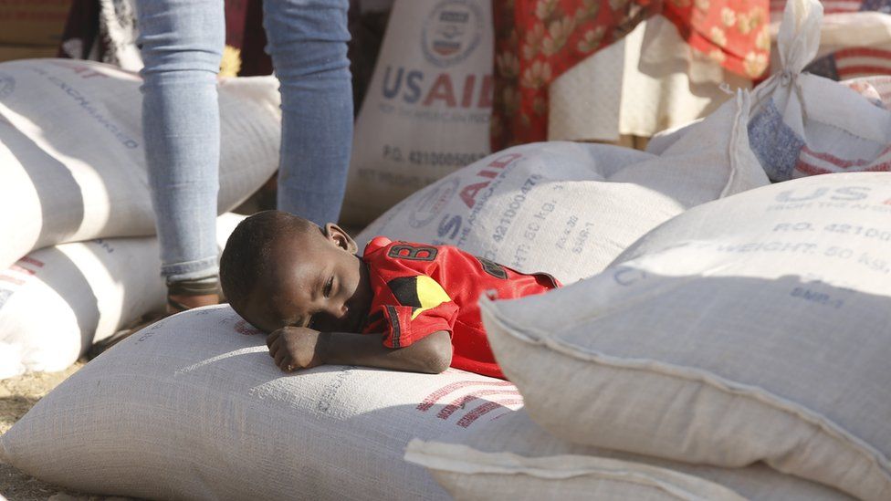 इथियोपियामा खाद्यान्न संकट : अनिकाल लागेको राष्ट्रसंघका सहायता प्रमुखको घोषणा