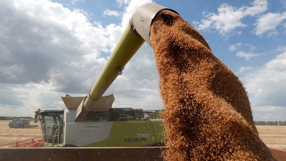 EU calls for ceasefire in Ukraine to allow grain exports
